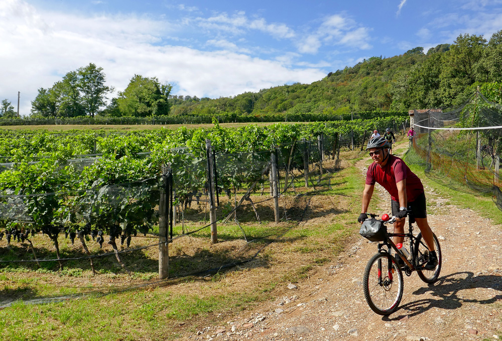 In bici tra le viti