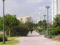 Parco fluviale del Turia a Valencia in Spagna